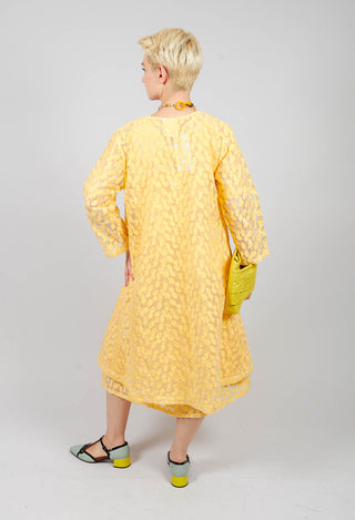 Sheer Printed Midi Coat with Button Front in Sorbet