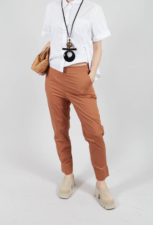 Tapered Trousers in Brown
