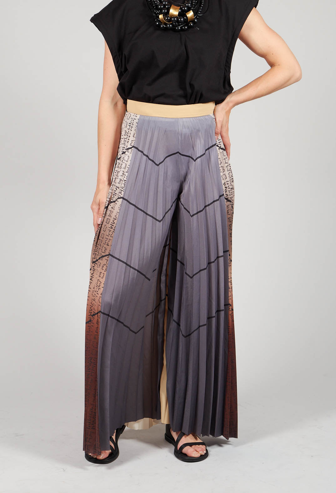 Pleated Trousers in Multicolor