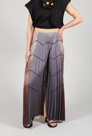 Pleated Trousers in Multicolor
