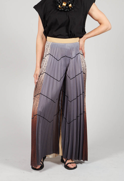 Pleated Trousers in Multicolor