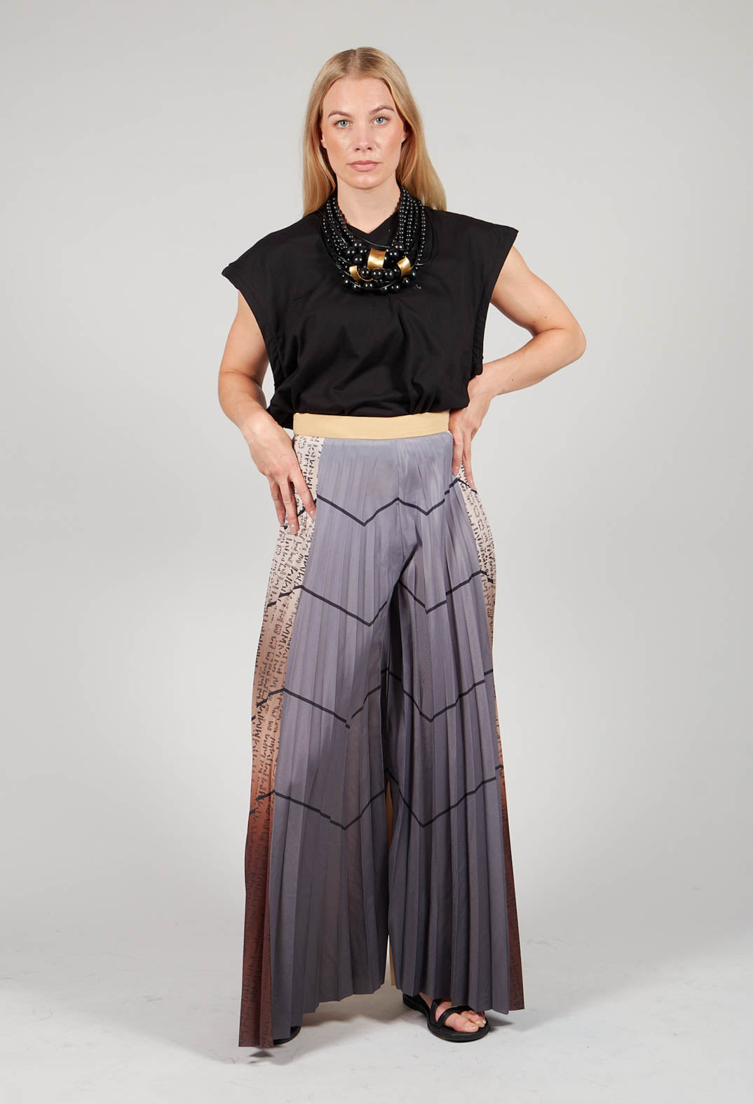 Pleated Trousers in Multicolor
