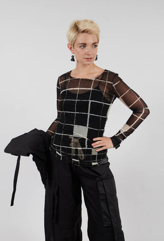 Sheer Mesh Long Sleeve Top in Single Variant