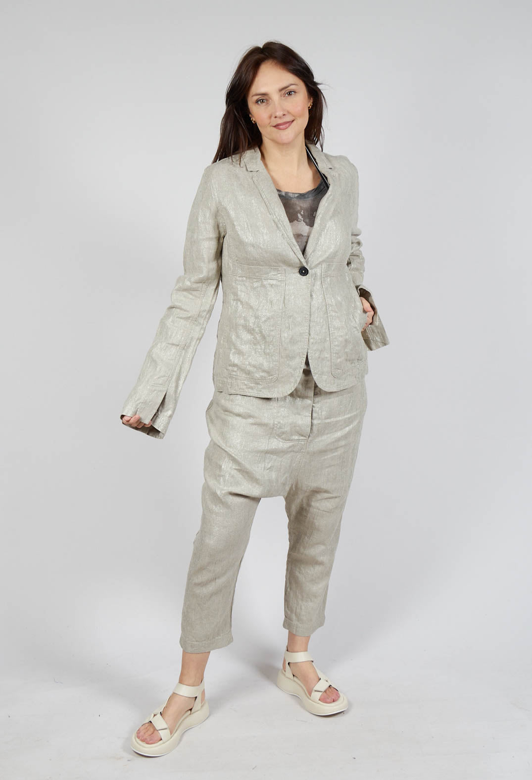 Single Button Jacket in Dust Sparkle