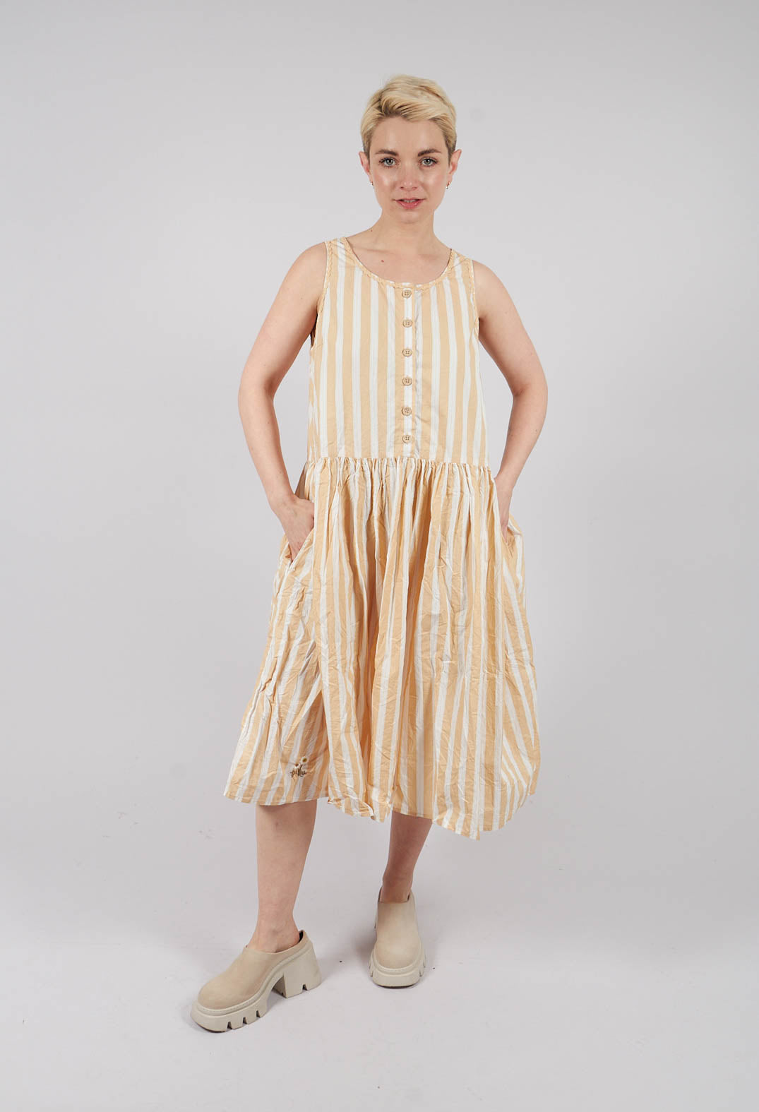 Birgitta Dress in Striped Cotton