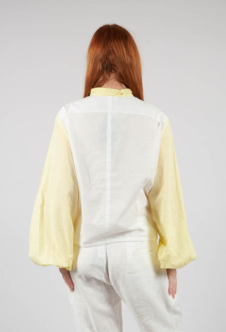 Collared Long Sleeve Shirt in Original Yellow