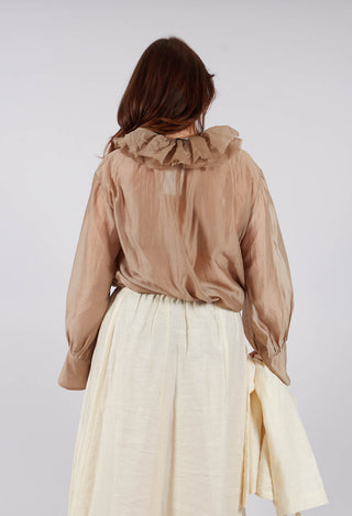 Sheer Long Sleeve Top in Gold