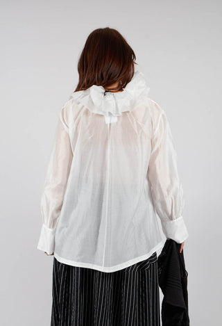 Sheer Long Sleeve Top in White