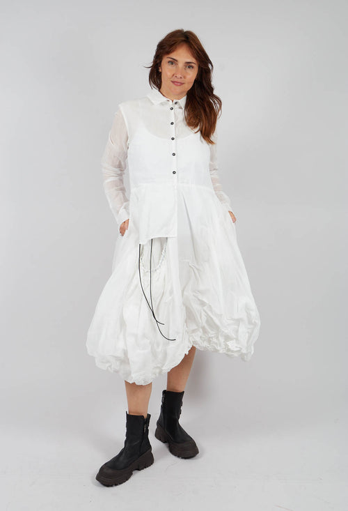 Tulip Hem Dress with Sheer Sleeves in Bone Paper - 1550903