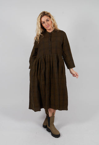 Button Up Dress in Nut Brown