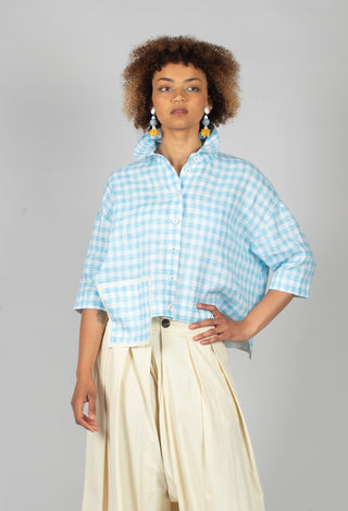 Gingham Cropped Shirt in Sky Blue Stripe