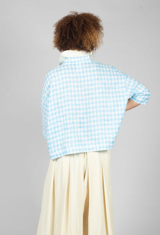 Gingham Cropped Shirt in Sky Blue Stripe