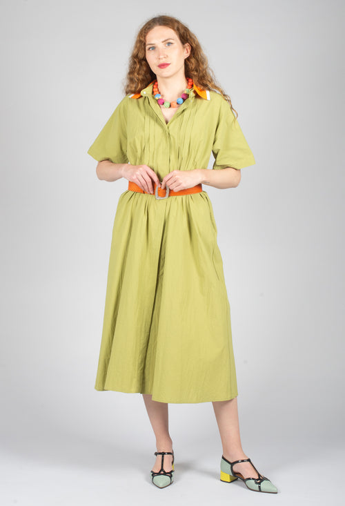 Atlas Cotton Dress in Wasabi