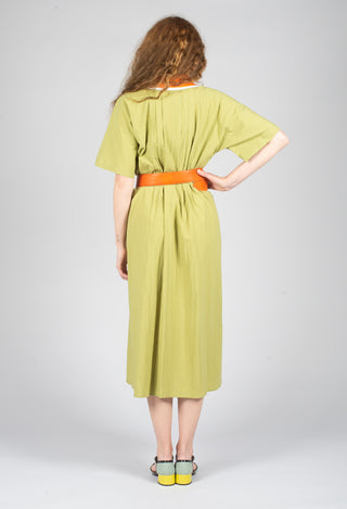 Atlas Cotton Dress in Wasabi