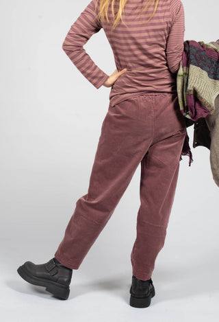 Alicia L Trousers in Cipolla