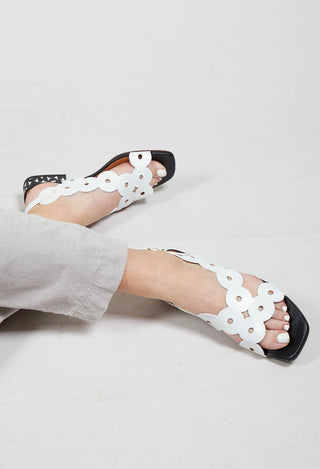 Teide Low Slingback in Black and White