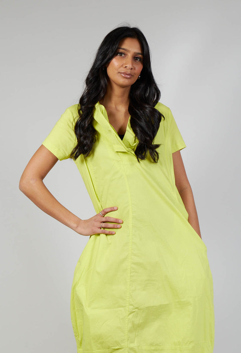 Women's tulip dress cheap