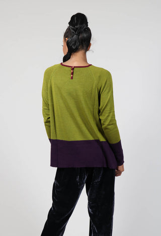 Top Key Round Neck in Charteuse and Petunia