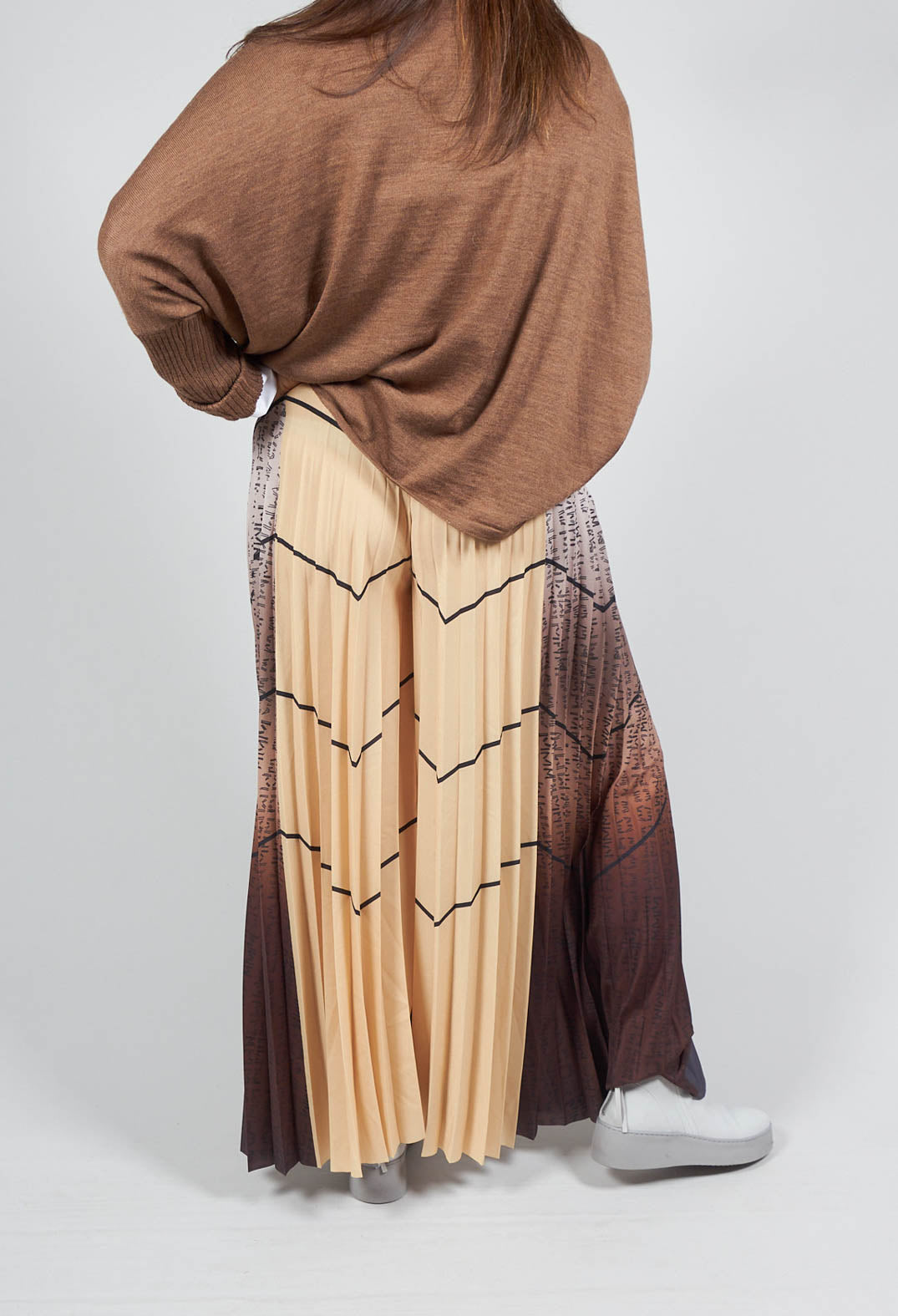 Pleated Trousers in Multicolor