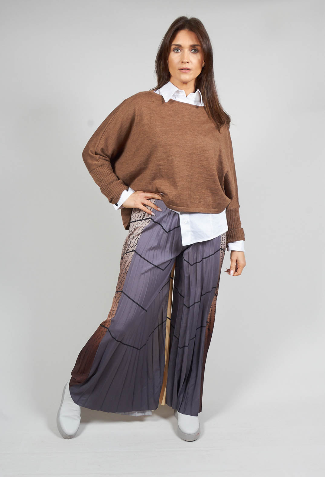 Pleated Trousers in Multicolor