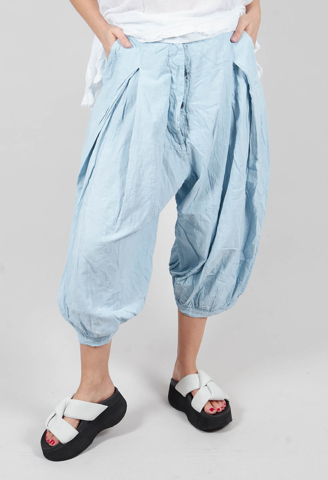 Pleat Front Trousers in Sky Fog - 2580109