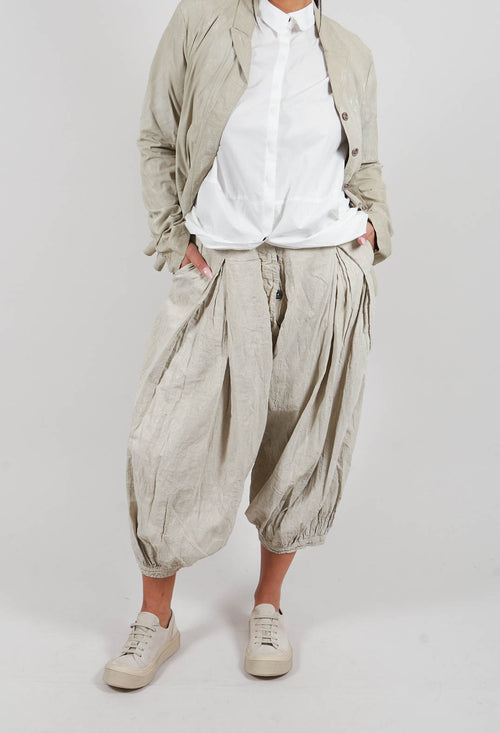 Pleat Front Trousers in Linen Fog - 2580109