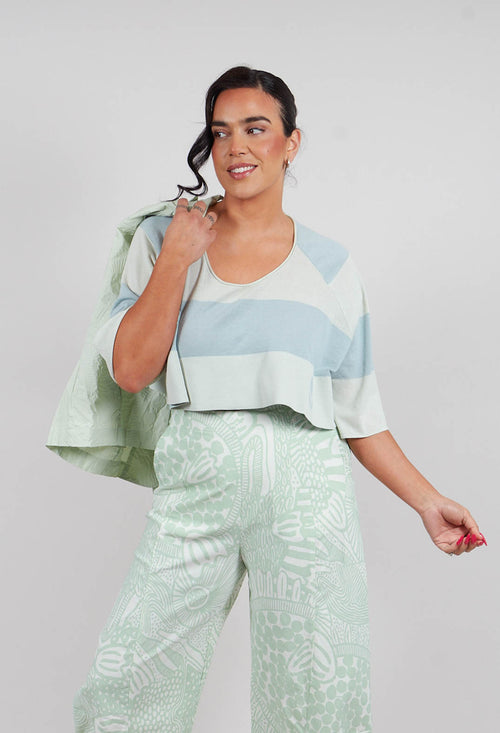 Cotton Knit Cropped Jumper in Lime Mint Stripe - 3330703