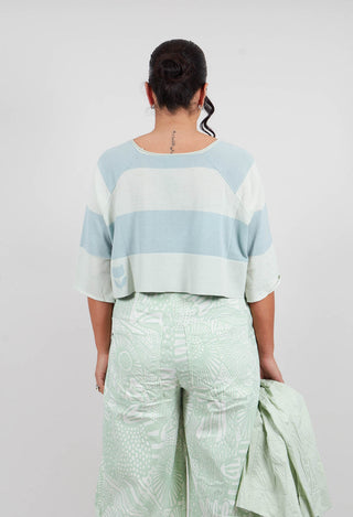 Cotton Knit Cropped Jumper in Lime Mint Stripe - 3330703