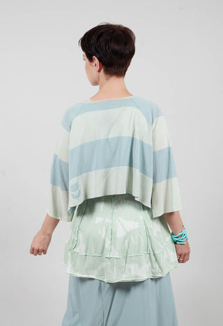Cotton Knit Cropped Jumper in Lime Mint Stripe - 3330703