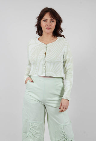 Button Up Cardigan in Mint Jacquard - 3417103