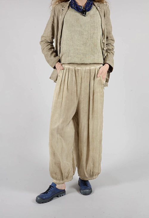 Sheer Finish Harem Trousers in Gold