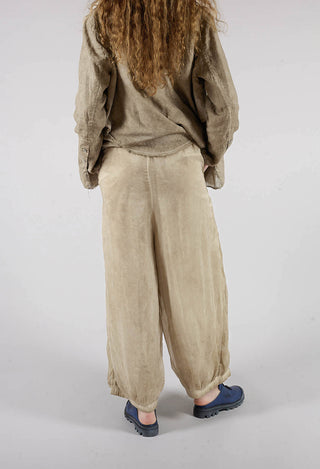 Sheer Finish Harem Trousers in Gold