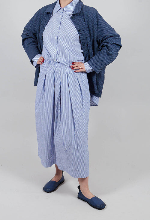 Pesci C Skirt in Azzuro Stripe