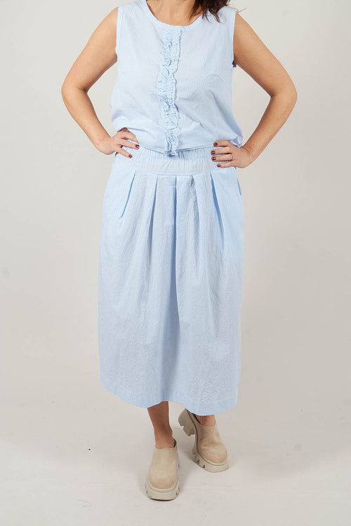 Pesci C Skirt in Celeste Check