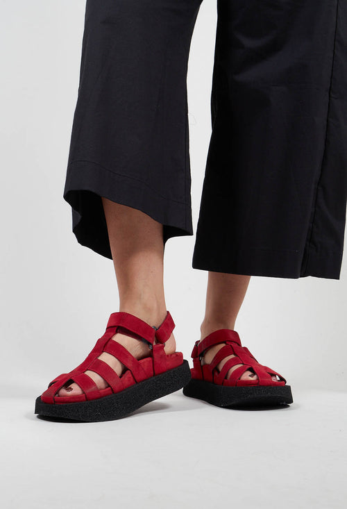 Cage Sandals in London Cherry