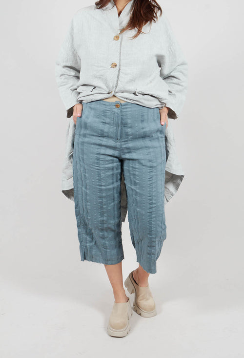 Patra Trousers in Grey