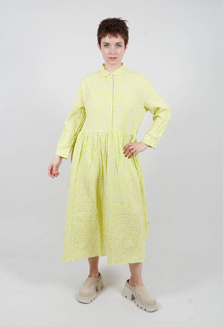 Destiny Dress in Lime Check
