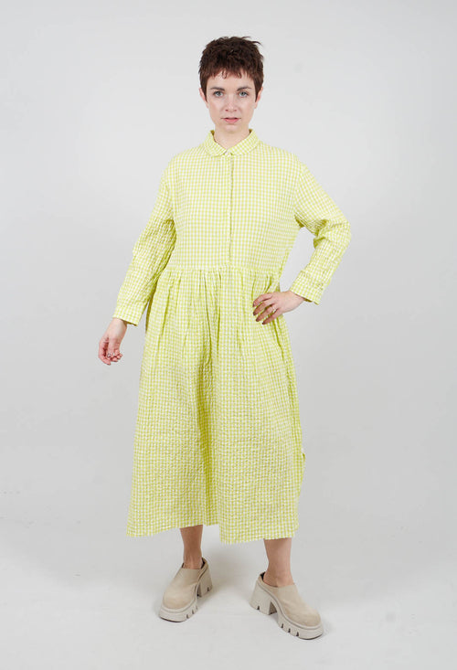 Destiny Dress in Lime Check