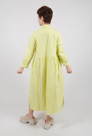 Destiny Dress in Lime Check