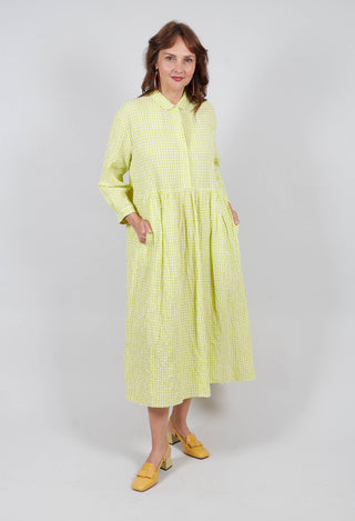 Destiny Dress in Lime Check