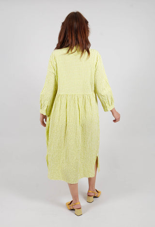 Destiny Dress in Lime Check