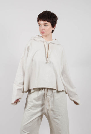 Hoddie HC in Pebble