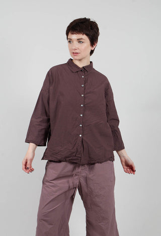 Short Collar Shirt TC in Grape