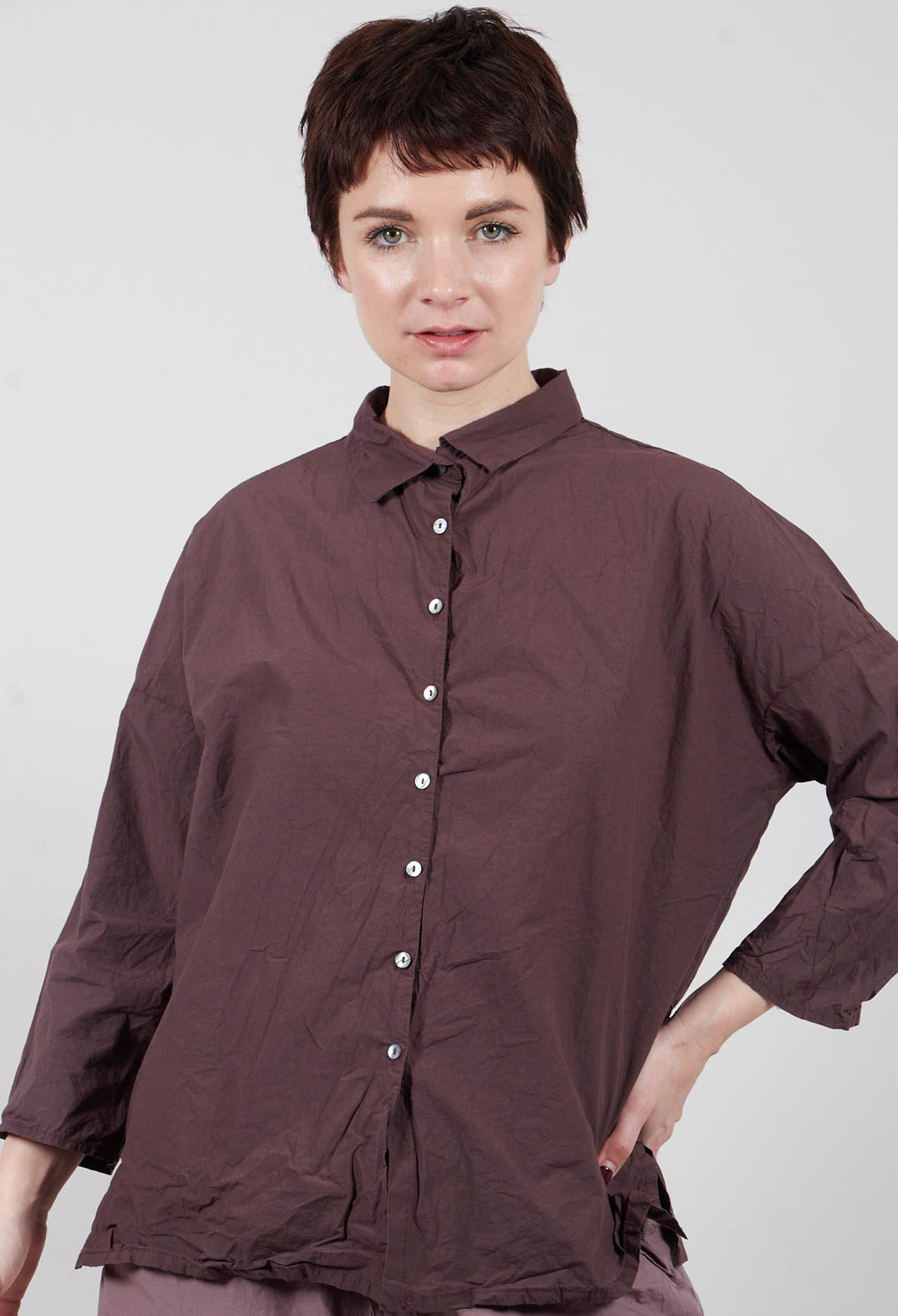 Short Collar Shirt TC in Grape