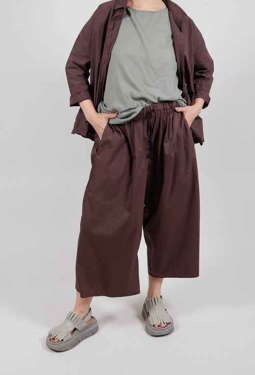 Trousers TSL in Grape