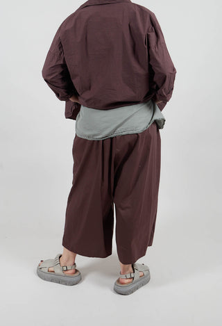 Trousers TSL in Grape