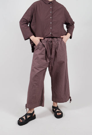Short Trousers CC in Mauve