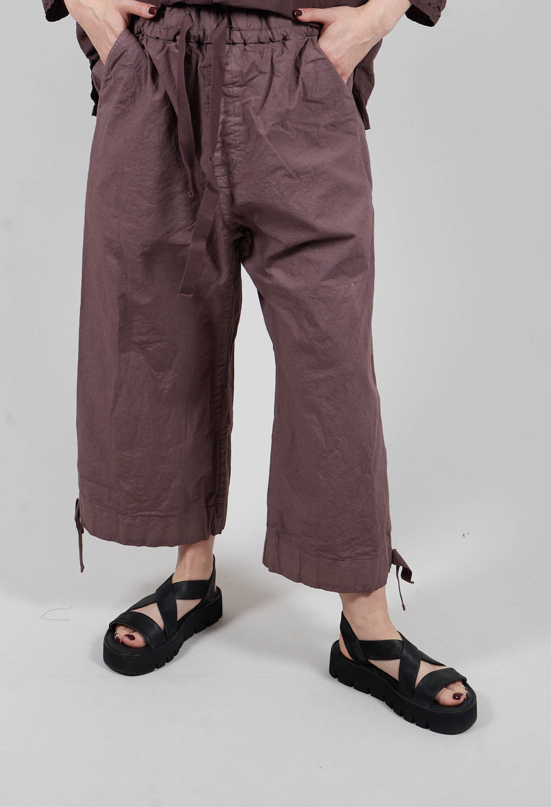 Short Trousers CC in Mauve