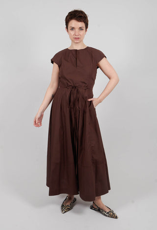 Midi Dress with Belt in Brown