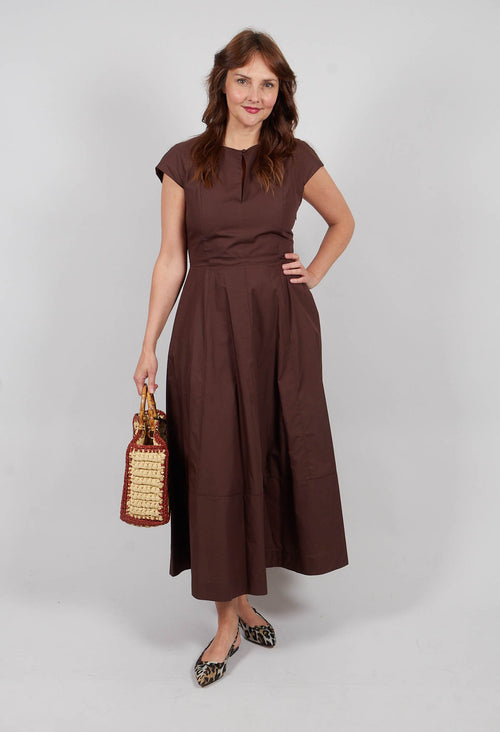 Midi Dress with Belt in Brown